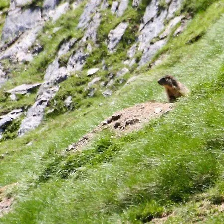 Maison Cauterets, 3 Pièces, 5 Personnes - Fr-1-401-39 *