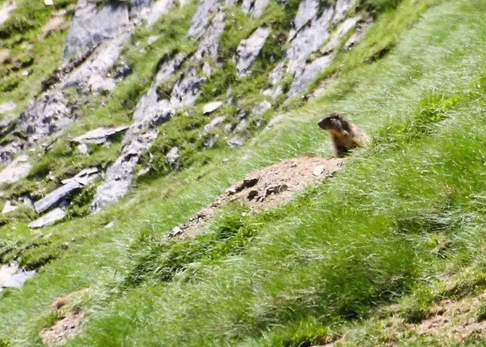 Duplex 4 Pers. Avec Parking, Proche Telecabine Et Commerces, A 1700m - Fr-1-401-39 *